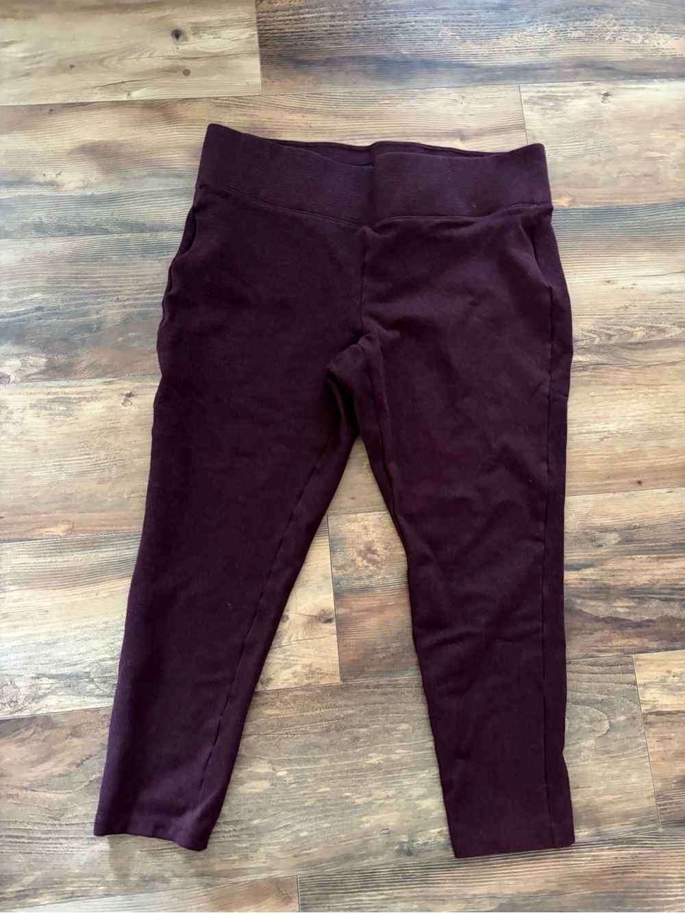 torrid Wine Pull-On Ponte Leggings